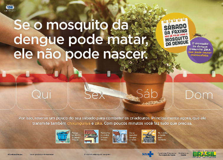 Imagem40dengue.png